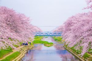 La mejor época para viajar a Japón