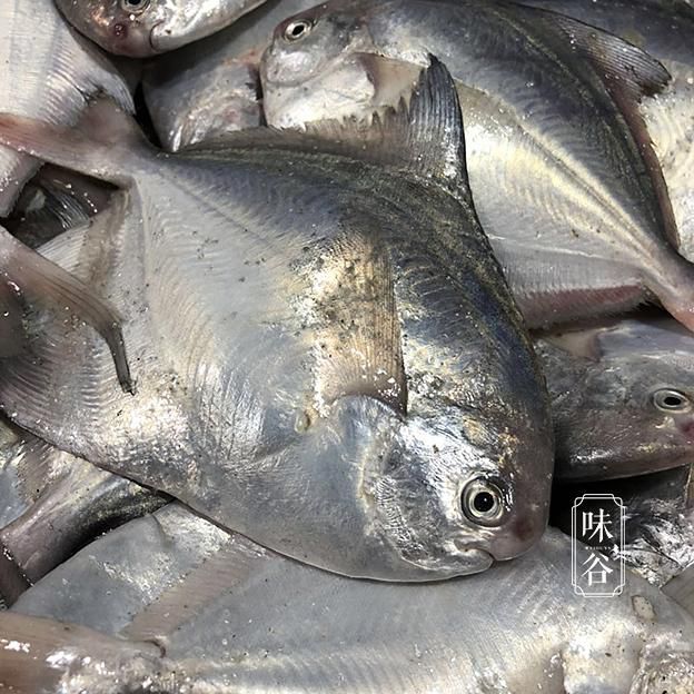 買魚時，優先選擇這“8種魚”，刺少肉嫩營養高，尤其適合孩子吃