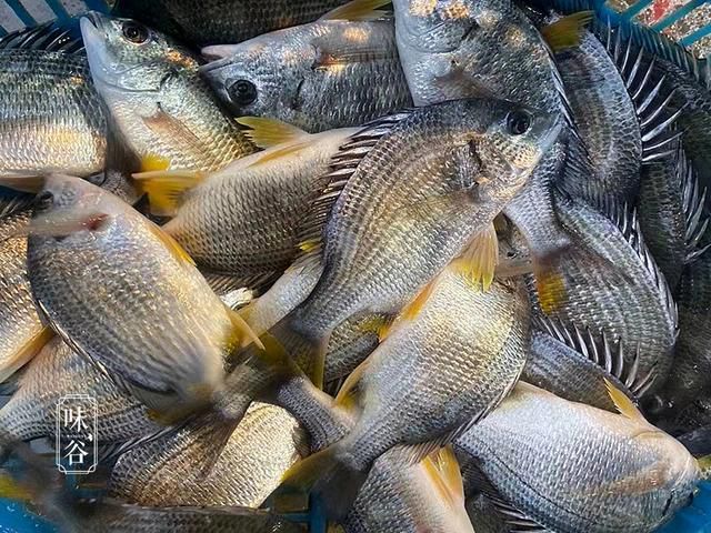 買魚時，優先選擇這“8種魚”，刺少肉嫩營養高，尤其適合孩子吃