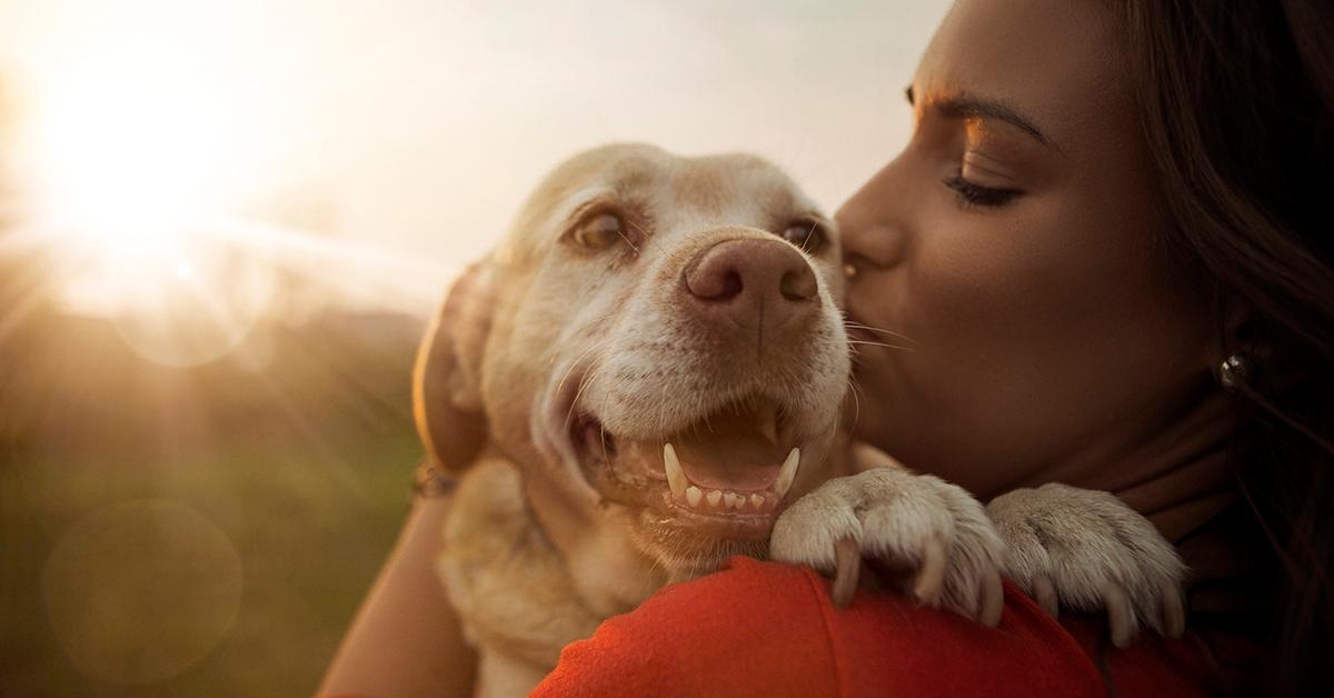 Dogs&#39; Heart Rate Increases When You Say I Love You