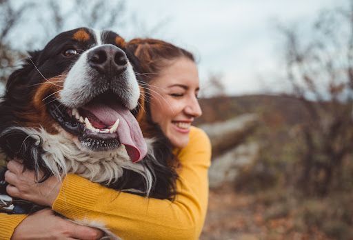 The Human Pet Love Story – My Pet's Animal Hospital