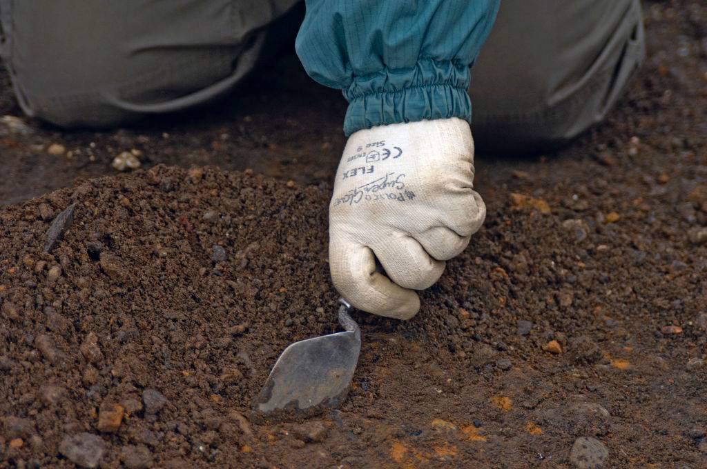 Archaeological dig in the dirt