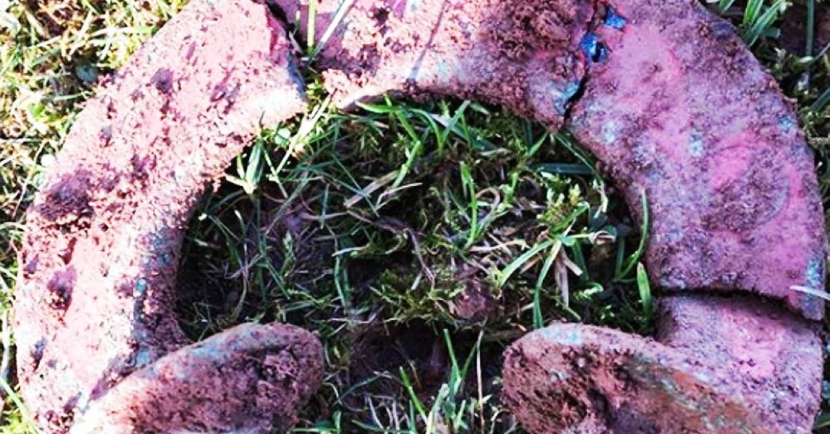 a rusted chain on the grass