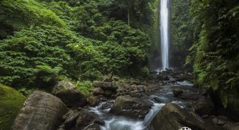 Bedste turiststeder i Negros Oriental
