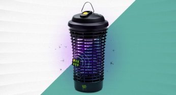8 Best Bug Zappers to Keep Insects from Invading Your Space