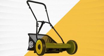 8 Best Reel Mowers for Keeping up With Your Lawn