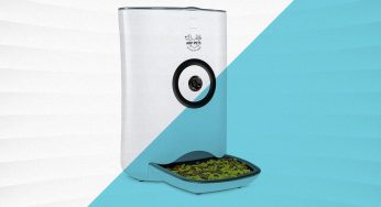 Best Automatic Feeders for Cats and Dogs