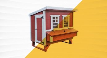 8 Best Chicken Coops for Happy Flocks
